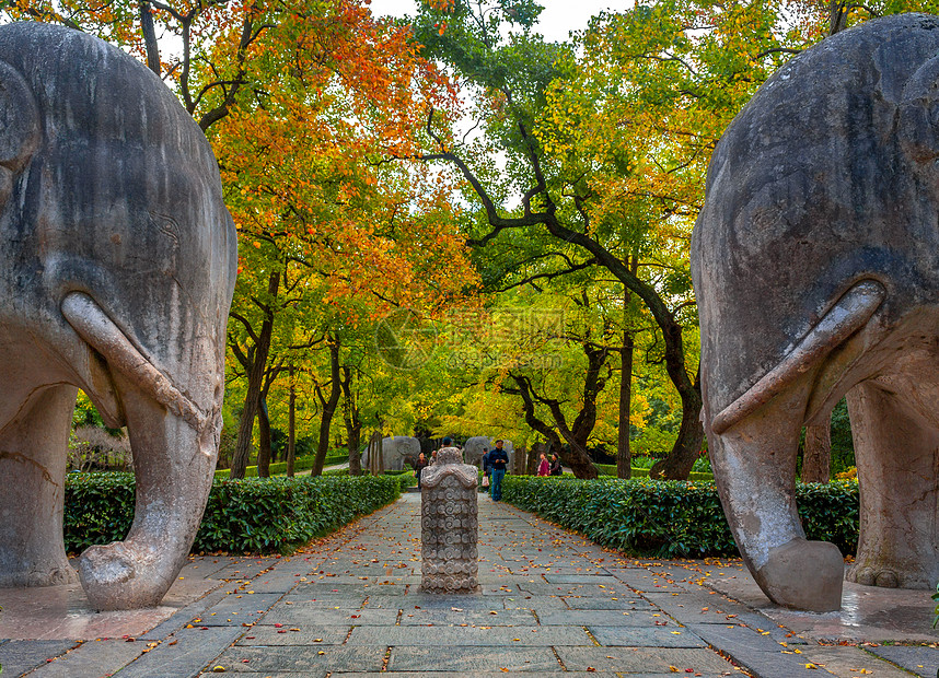 Stone elephant statues along the Sacred Way at Ming Xiaoling Mausoleum in Nanjing