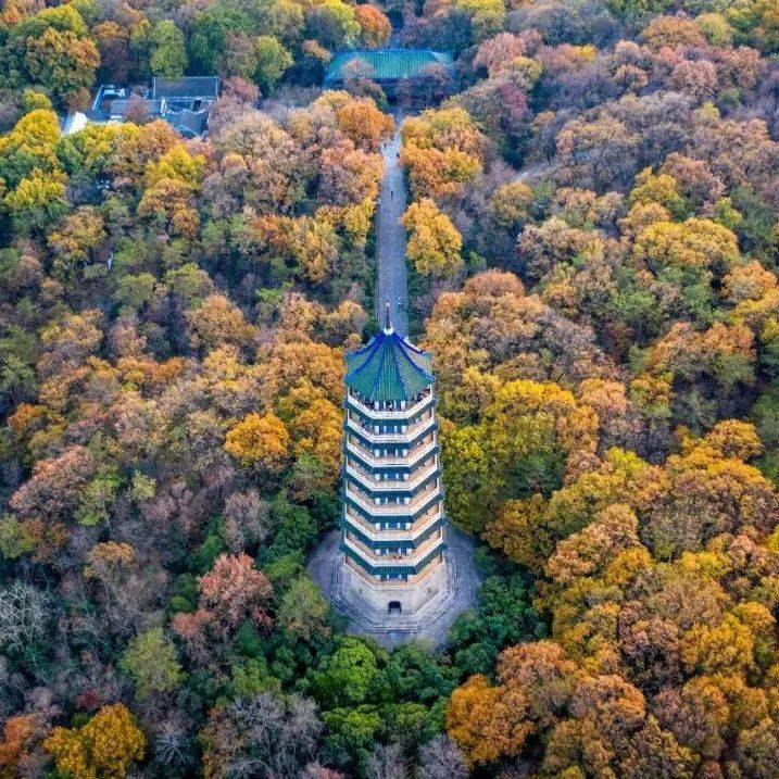 Purple Mountain Nanjing with ancient stone statues along the Sacred Way leading to Ming Xiaoling Mausoleum